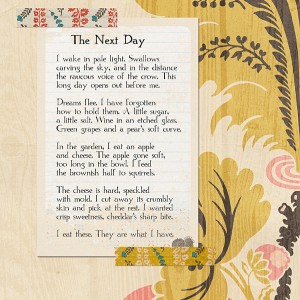 The Next Day