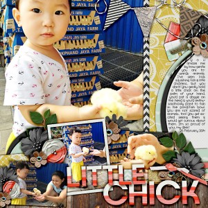 Little chick