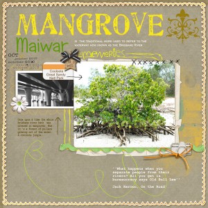 Mangrove Memories