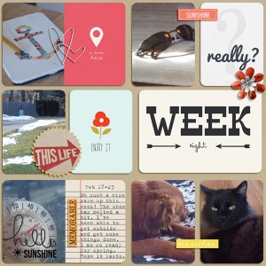Week 8