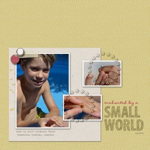 Enchanted by a Small World