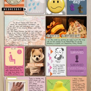 My Diary- March 5