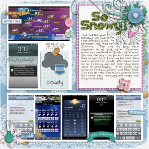 Year of Snowdays