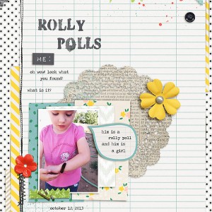 Rolly Polls