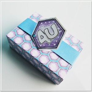 4U Hex Gift Box