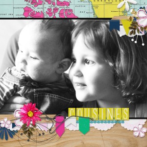Cousines