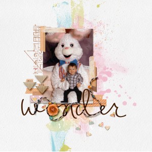 Wonder