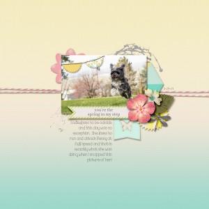 Spring in my Step