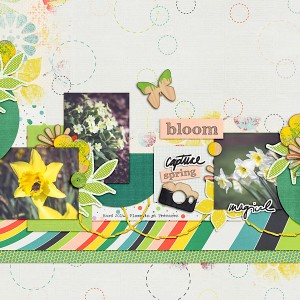 Capture Spring