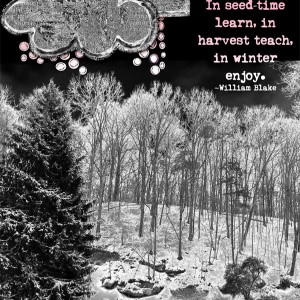Winter Night
