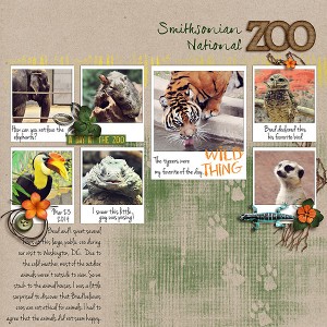 A Day at the Zoo