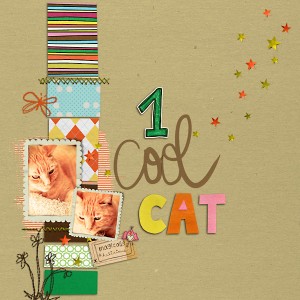 1 Cool Cat
