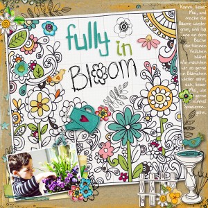 fully in bloom