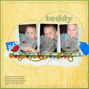 Teddy