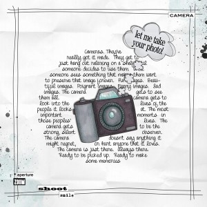 Let Me Take Your Photo