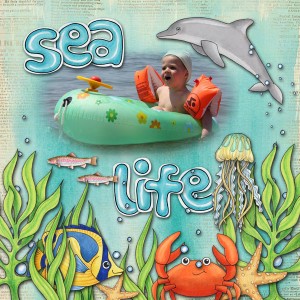 Sea Life