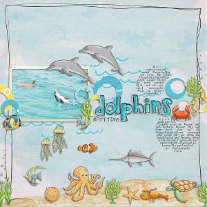 spotting dolphins