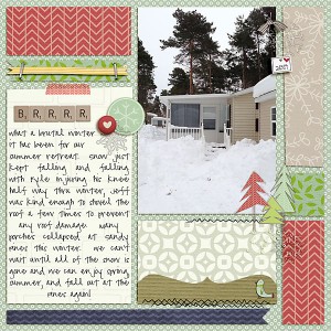 Sandy Pines Snow
