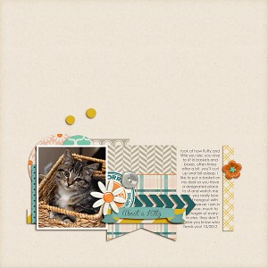 about a kitty