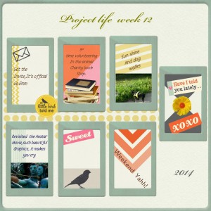 project life