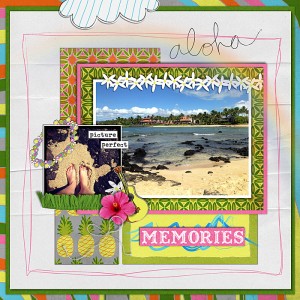 Aloha memories