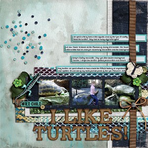 I Like Turtles!