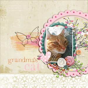 Grandmas cat