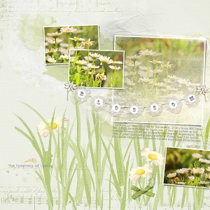 Blossom