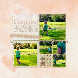 Feeding the Ducks