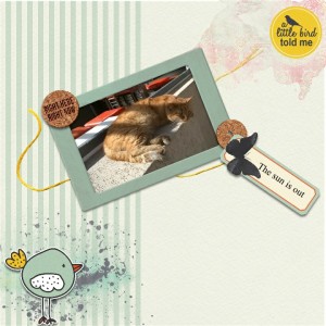 BYOC April