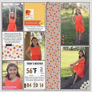 2014 Week 17 Sunday