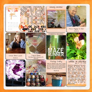 Project Life 2014: Week 17