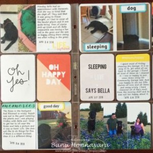 Project Life 2014 - Week 16
