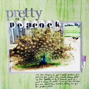 Pretty as a Peacock