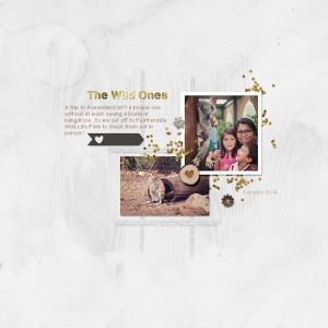 The Wild Ones