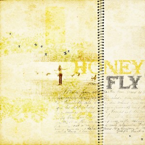 Honey Fly