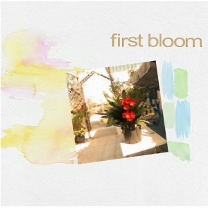first_bloom