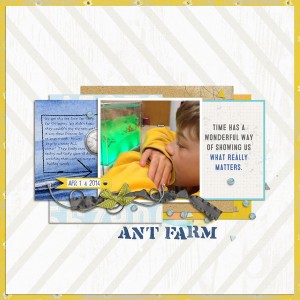 Ant Farm