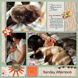Sunday Afternoon