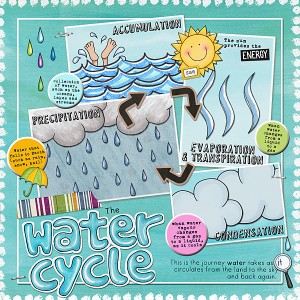 The Water Cycle