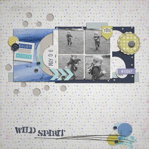 enjoy wild spirit