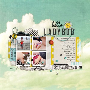 hello ladybug