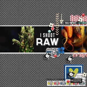 I Shoot Raw