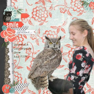Owl Encounter