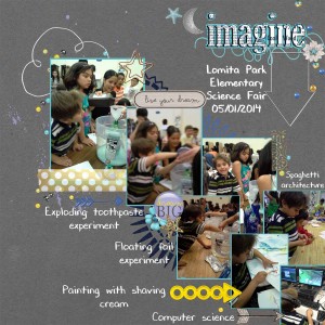 Science Fair