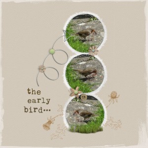 The Early Bird