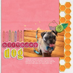 Birthday Dog