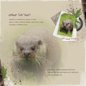 Otter