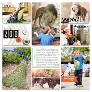 Angry Zoo