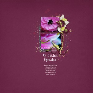 My Garden Flourishes